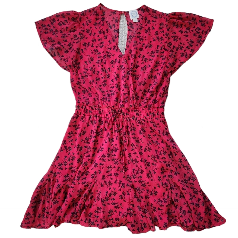 Francesca's Blue Rain Pink Floral Mini Dress